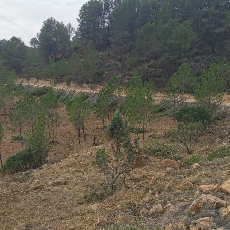 WhatsApp Image 2024-10-07 at 13.18.21 (5)