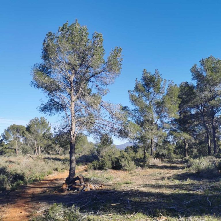 WhatsApp Image 2025-02-23 at 22.41.11