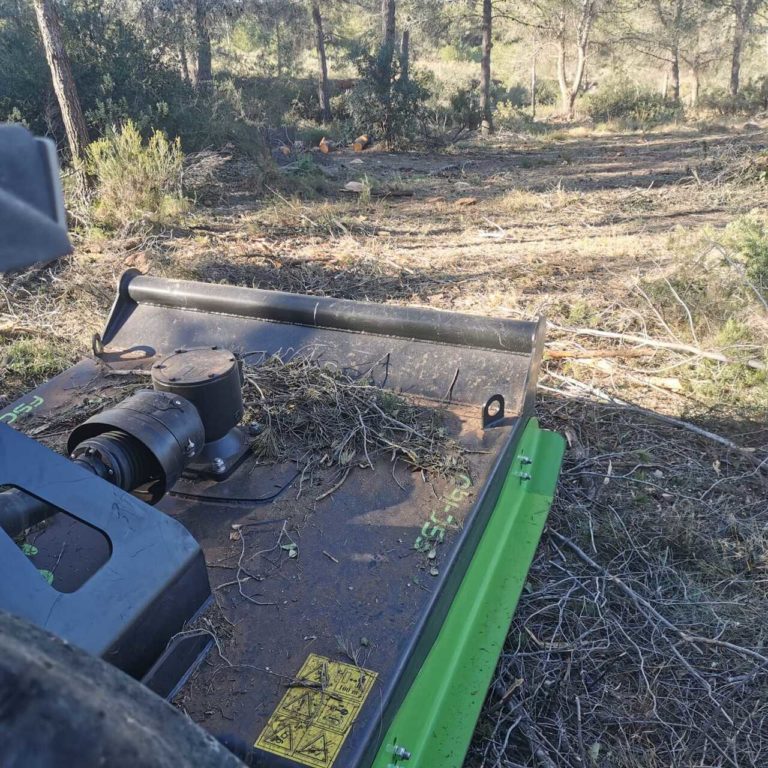 WhatsApp Image 2025-02-23 at 22.41.12 (1)