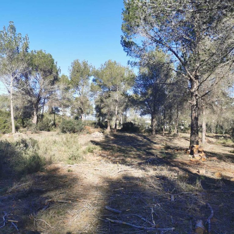 WhatsApp Image 2025-02-23 at 22.41.12